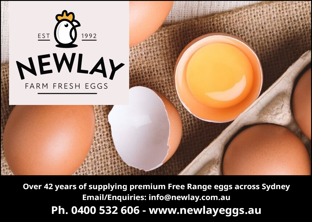 Newlay Farm Fresh Eggs